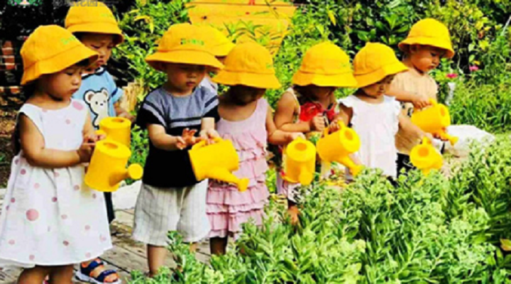 大自然是孩子們在幼兒園時光里最美好的相遇